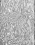 the characteristic pattern of ukku or true damascus steel